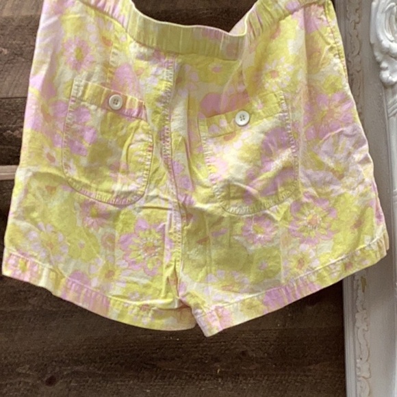 Free People Palo Duro Relaxed Shorts Size Small - Picture 4 of 6